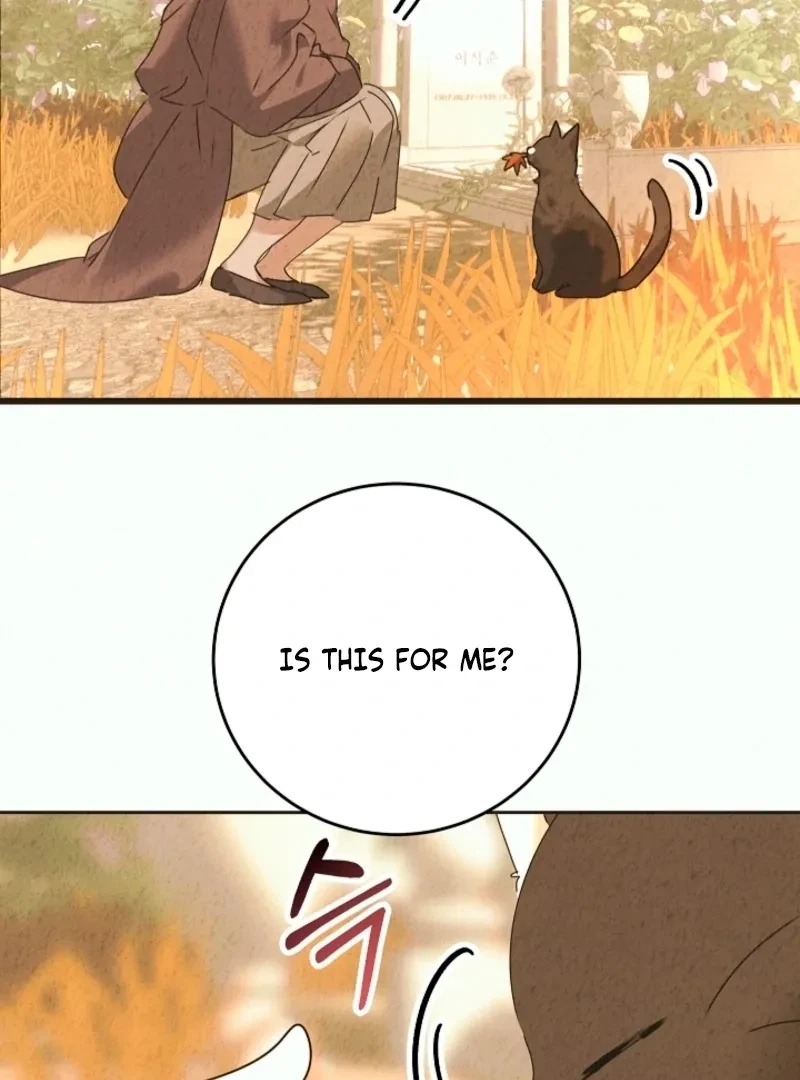 Chapter 0, page 24