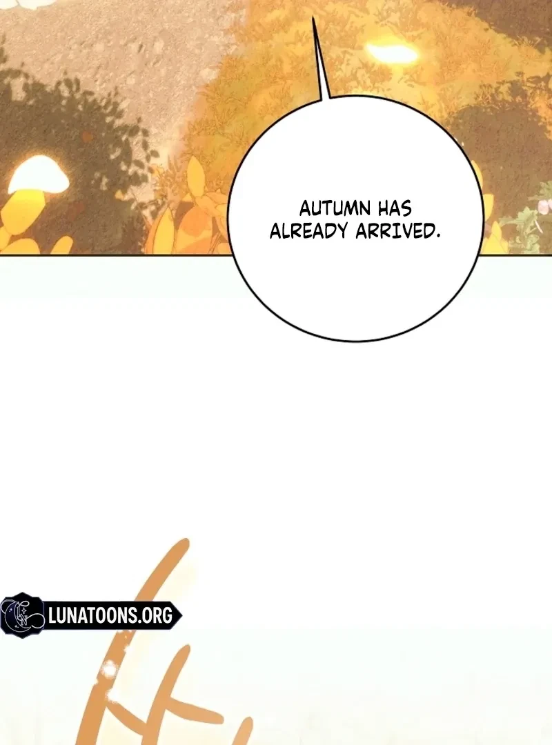 Chapter 0, page 29