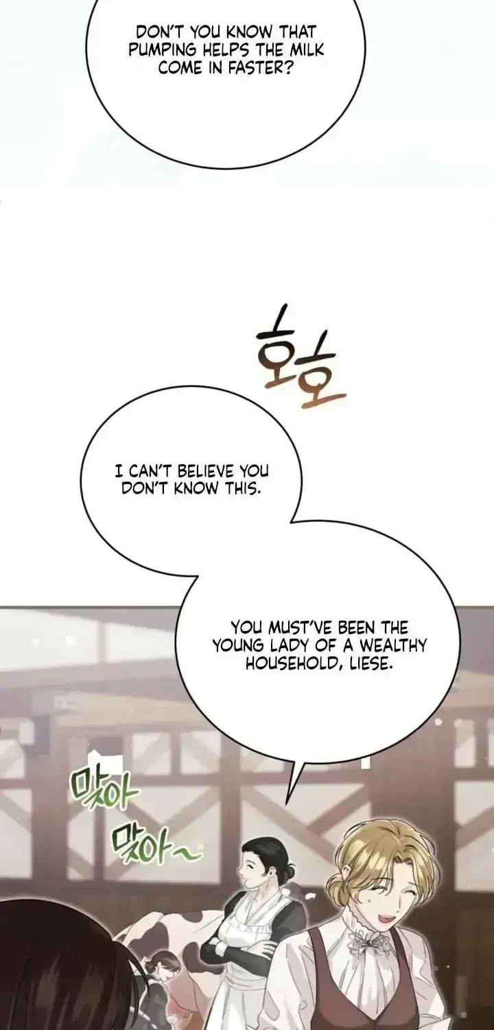 Chapter 2.8, page 37