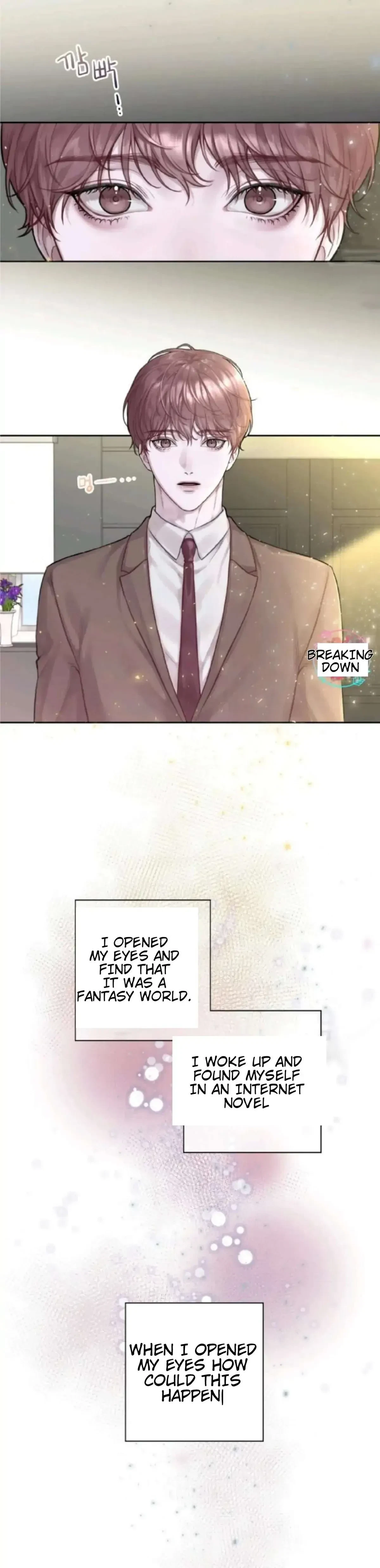 Chapter 1, page 11