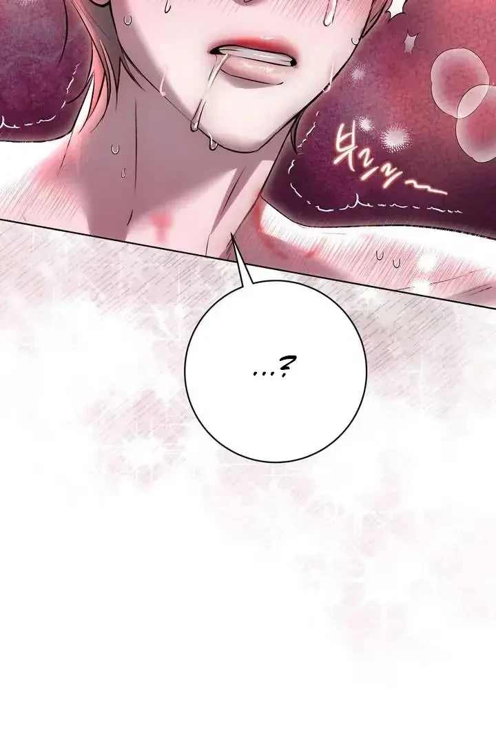 Chapter 4, page 100