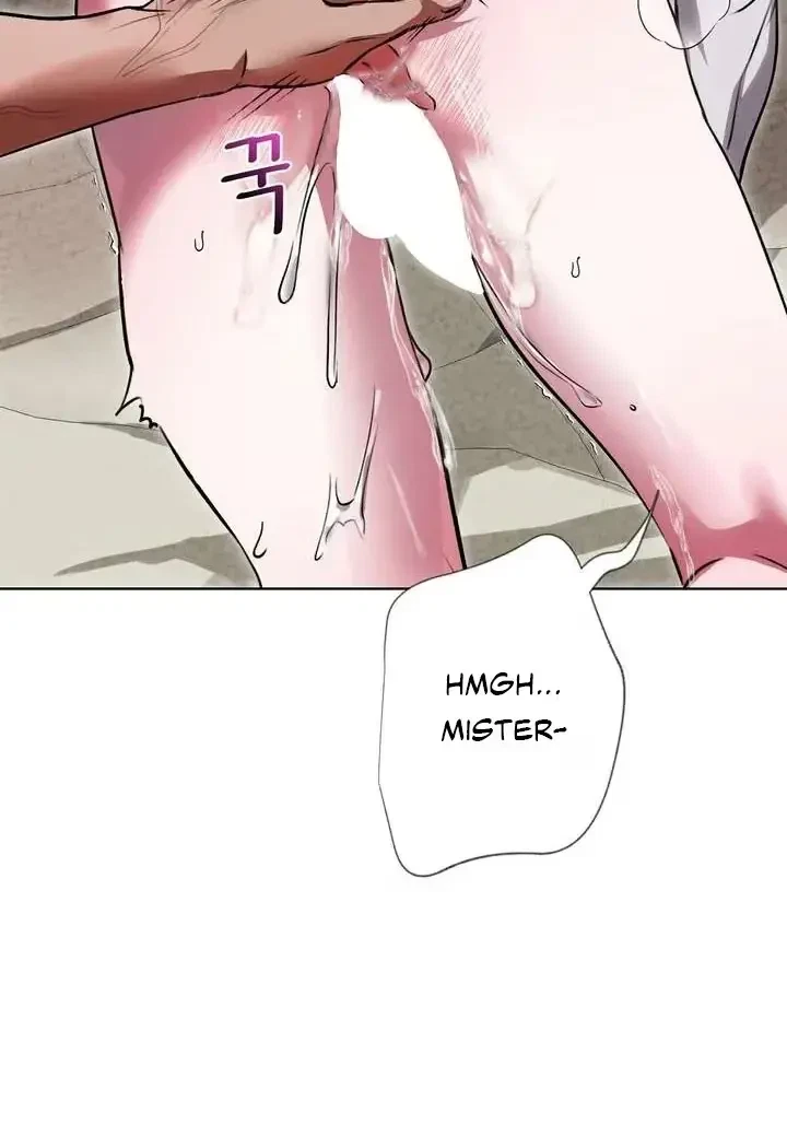 Chapter 4, page 17