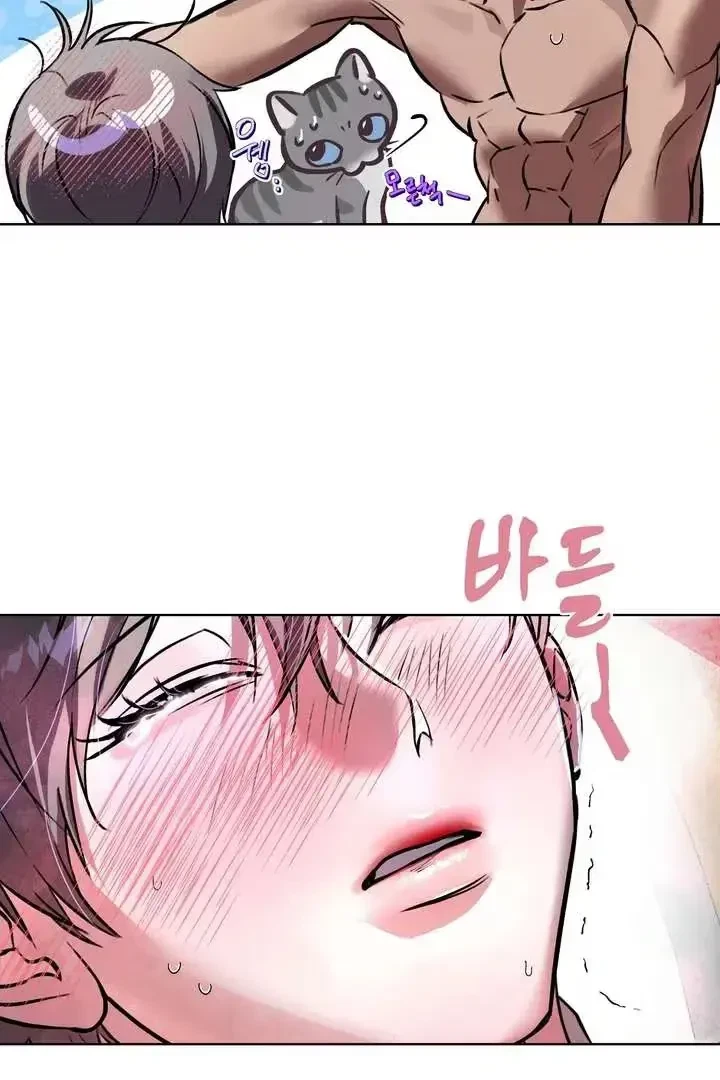 Chapter 4, page 62