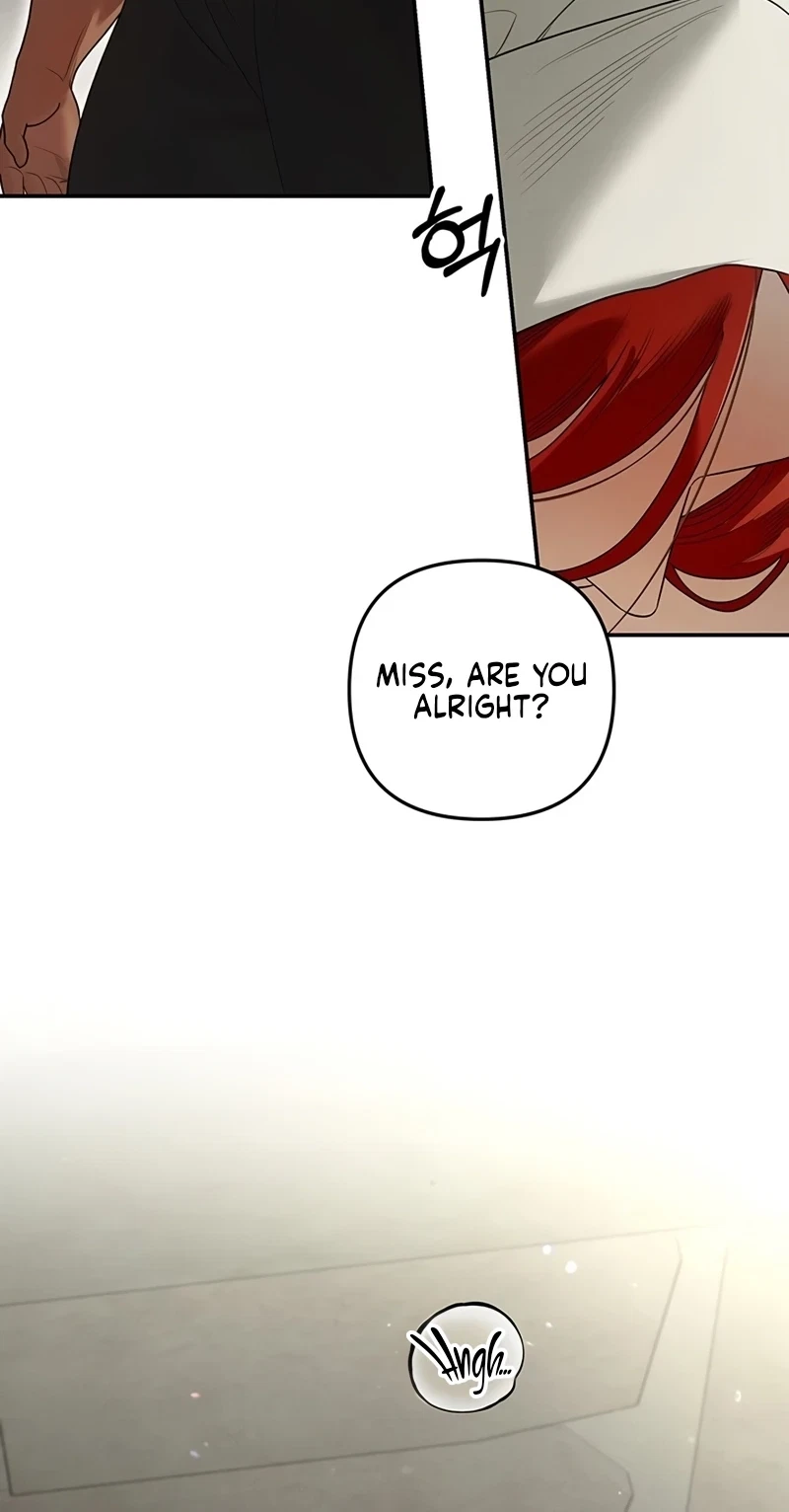 Chapter 1, page 27