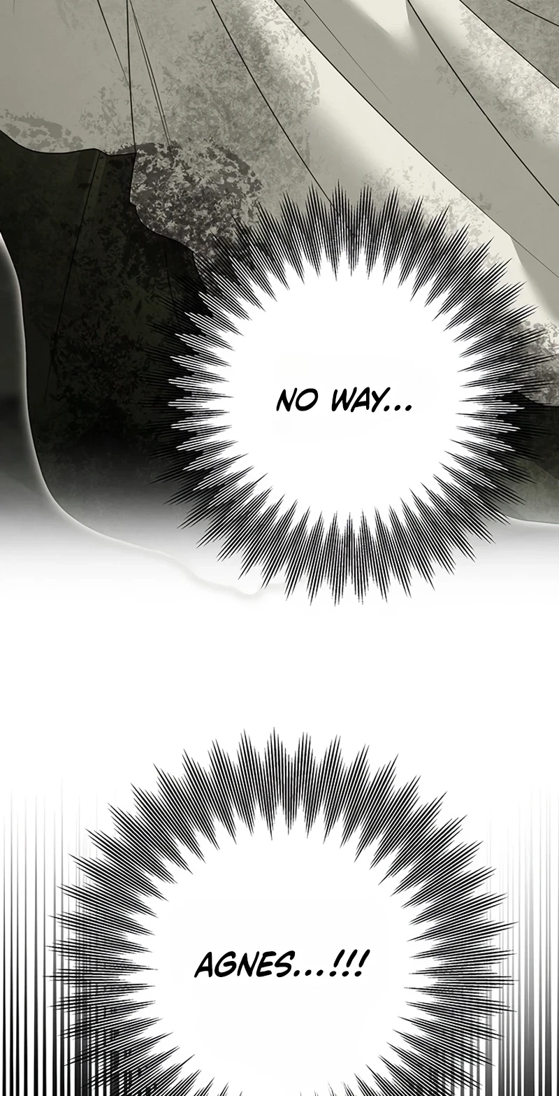 Chapter 1, page 29