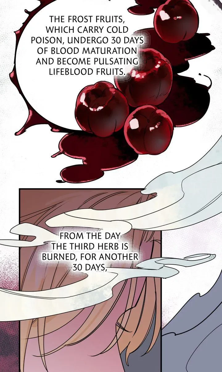 Bounus.1 : Official, page 101