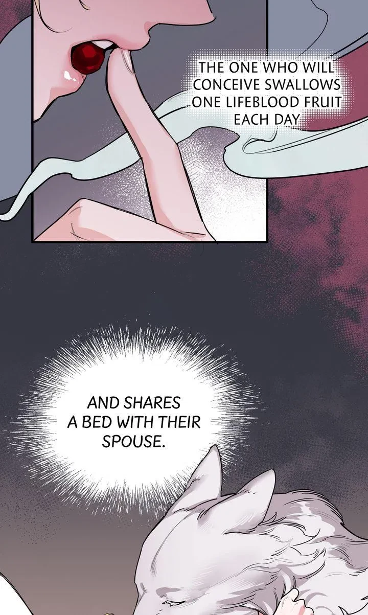 Bounus.1 : Official, page 102