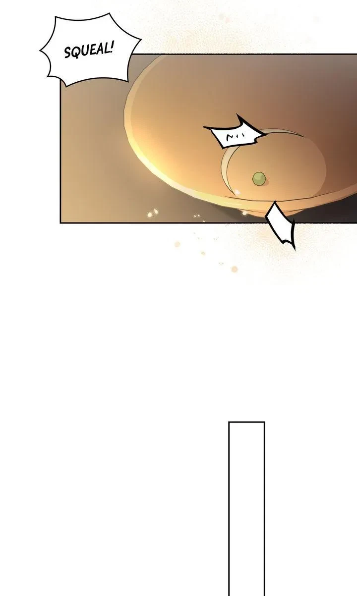 Bounus.1 : Official, page 29