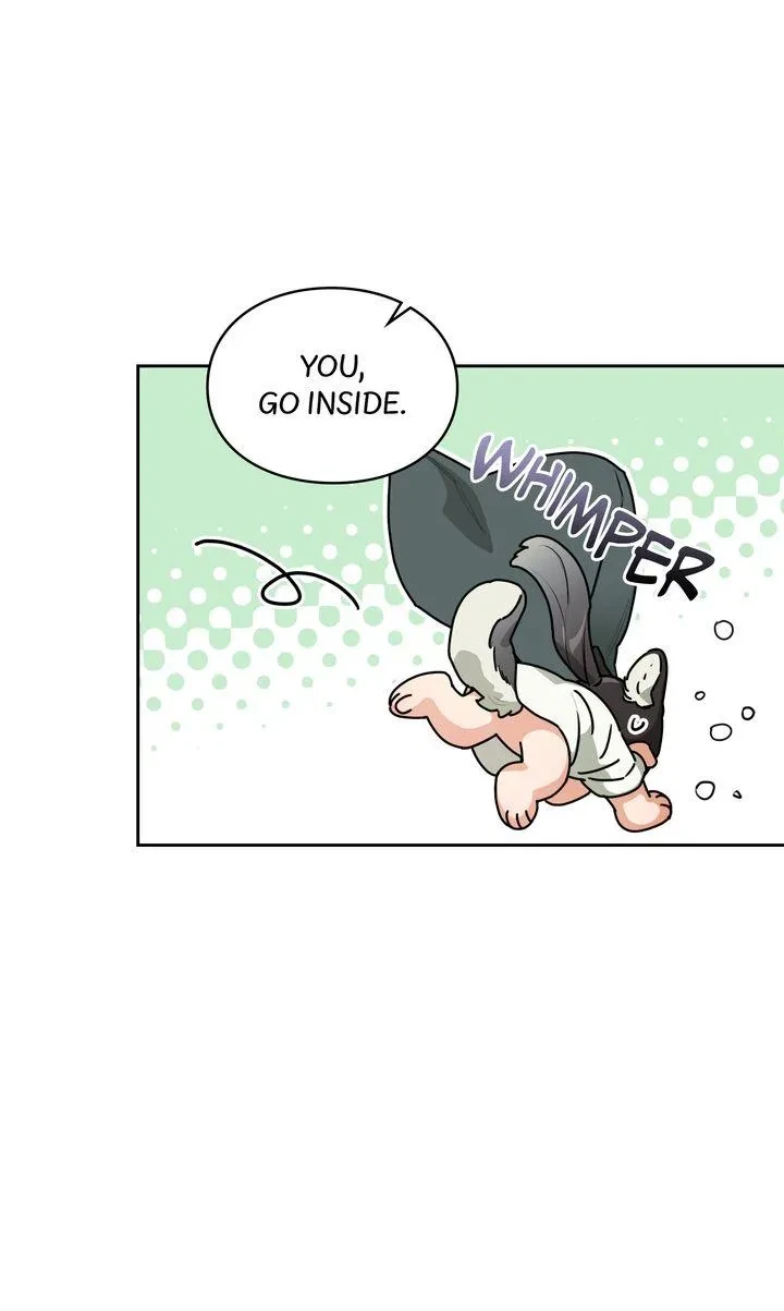 Bounus.1 : Official, page 40