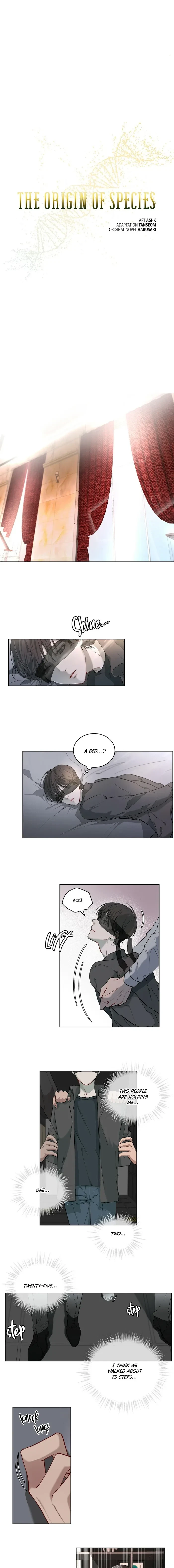 Chapter 3, page 6