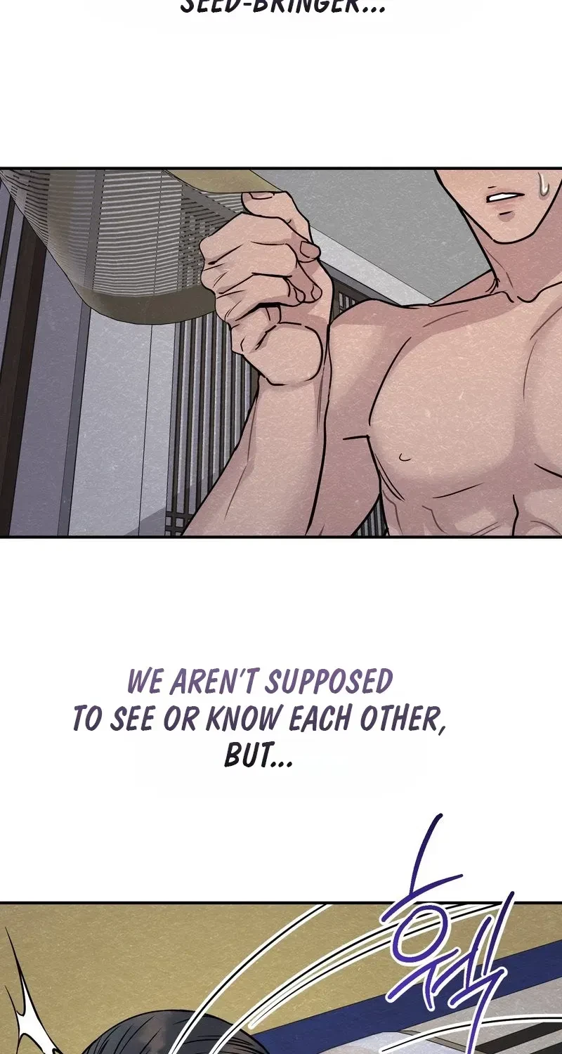 Chapter 3, page 54