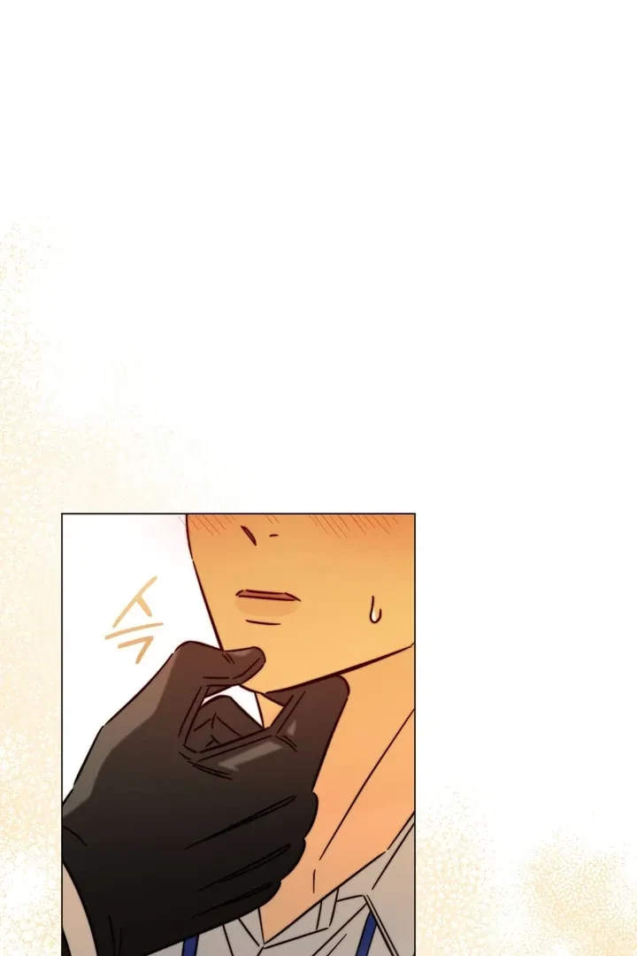 Chapter 3, page 100