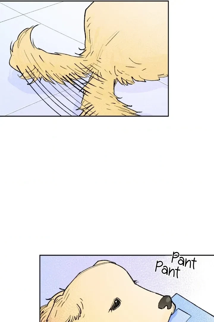Chapter 1, page 20