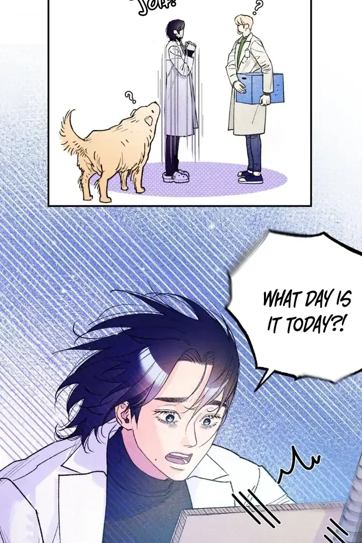 Chapter 1, page 29