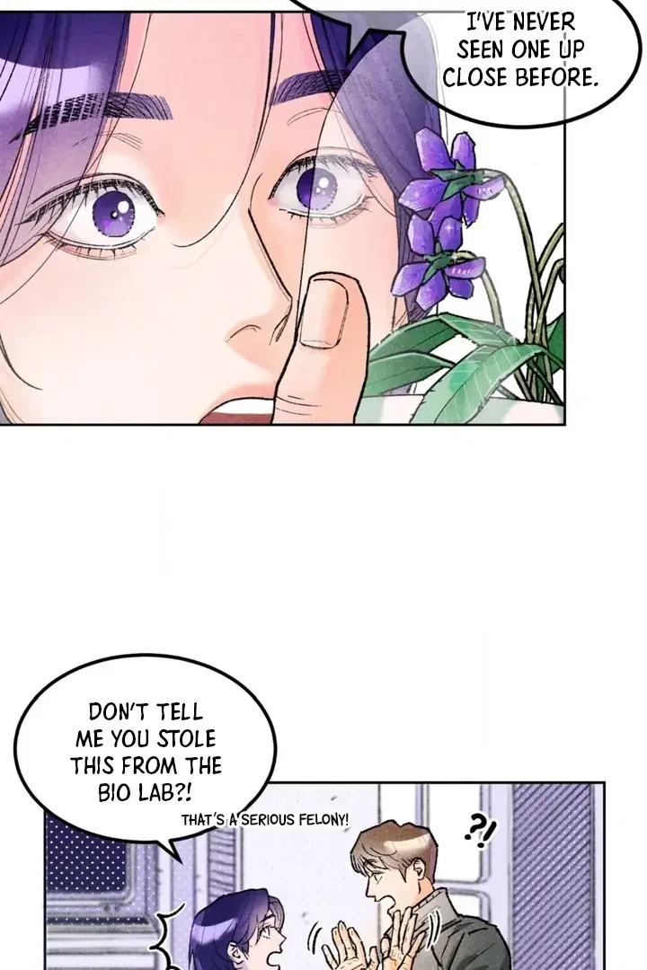 Chapter 1, page 49