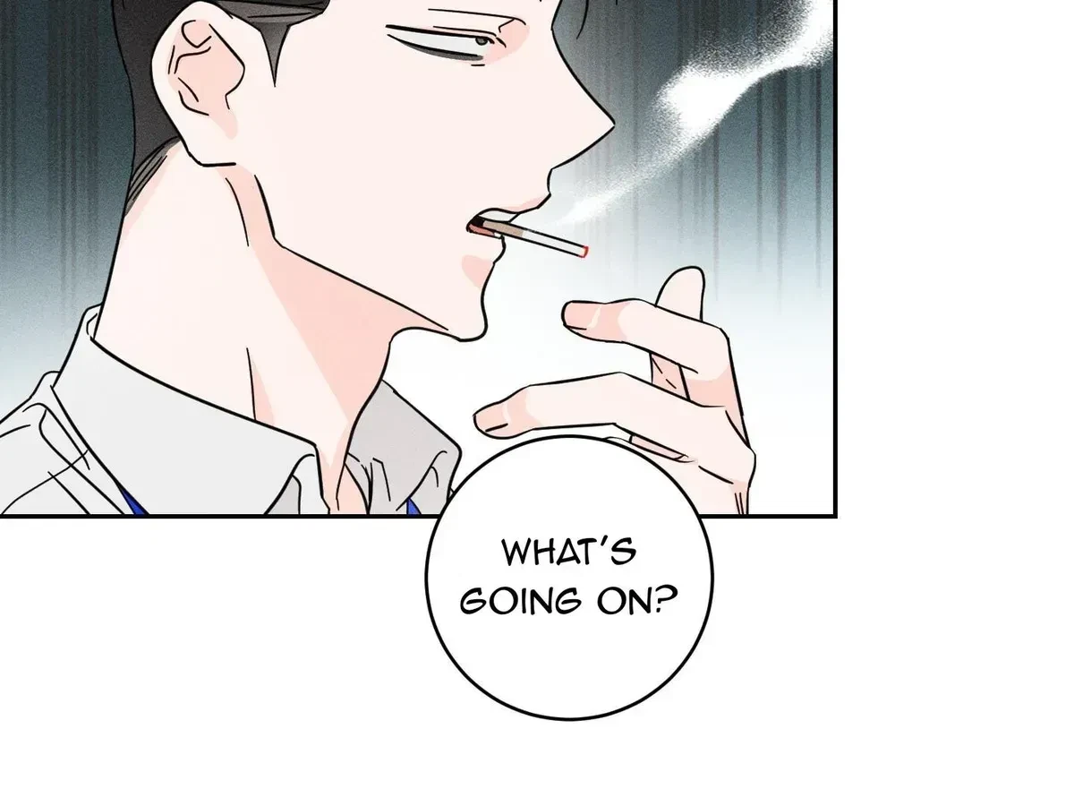Chapter 1.1, page 39