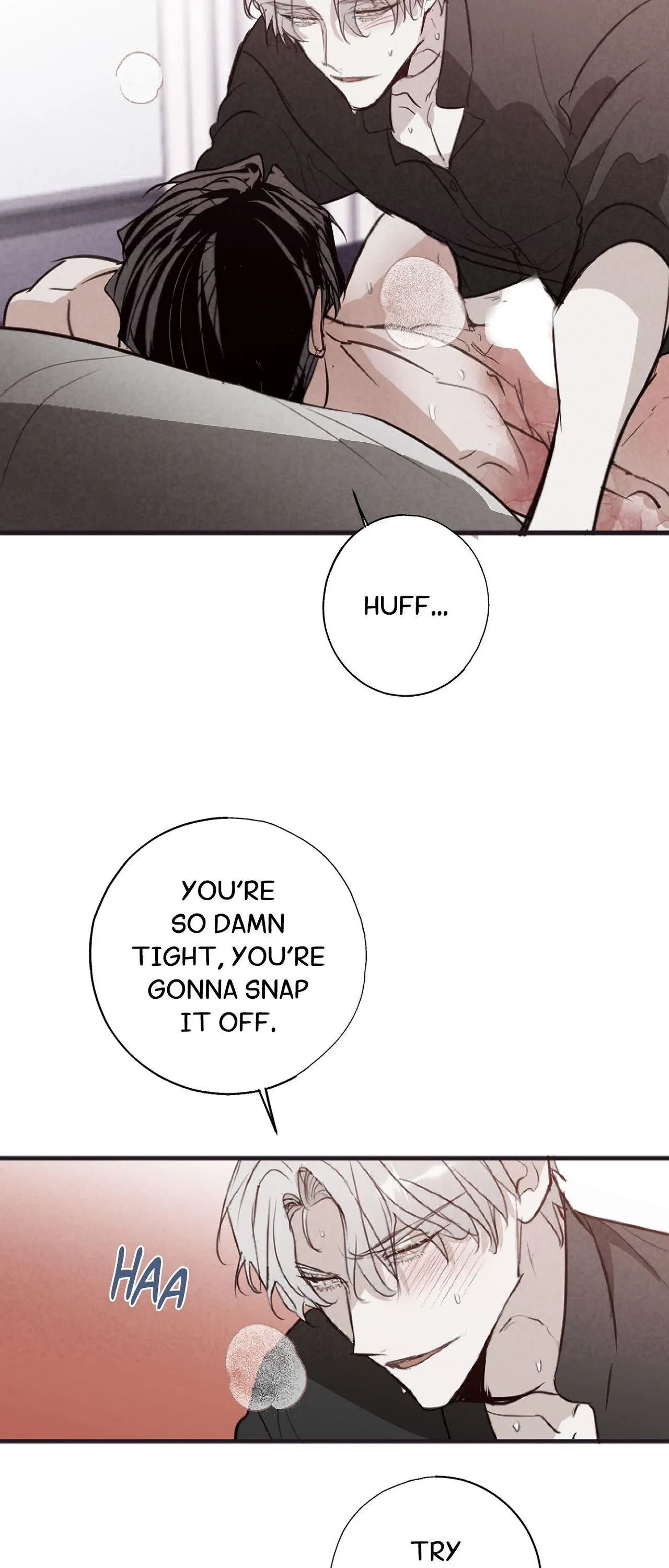 Chapter 41, page 11
