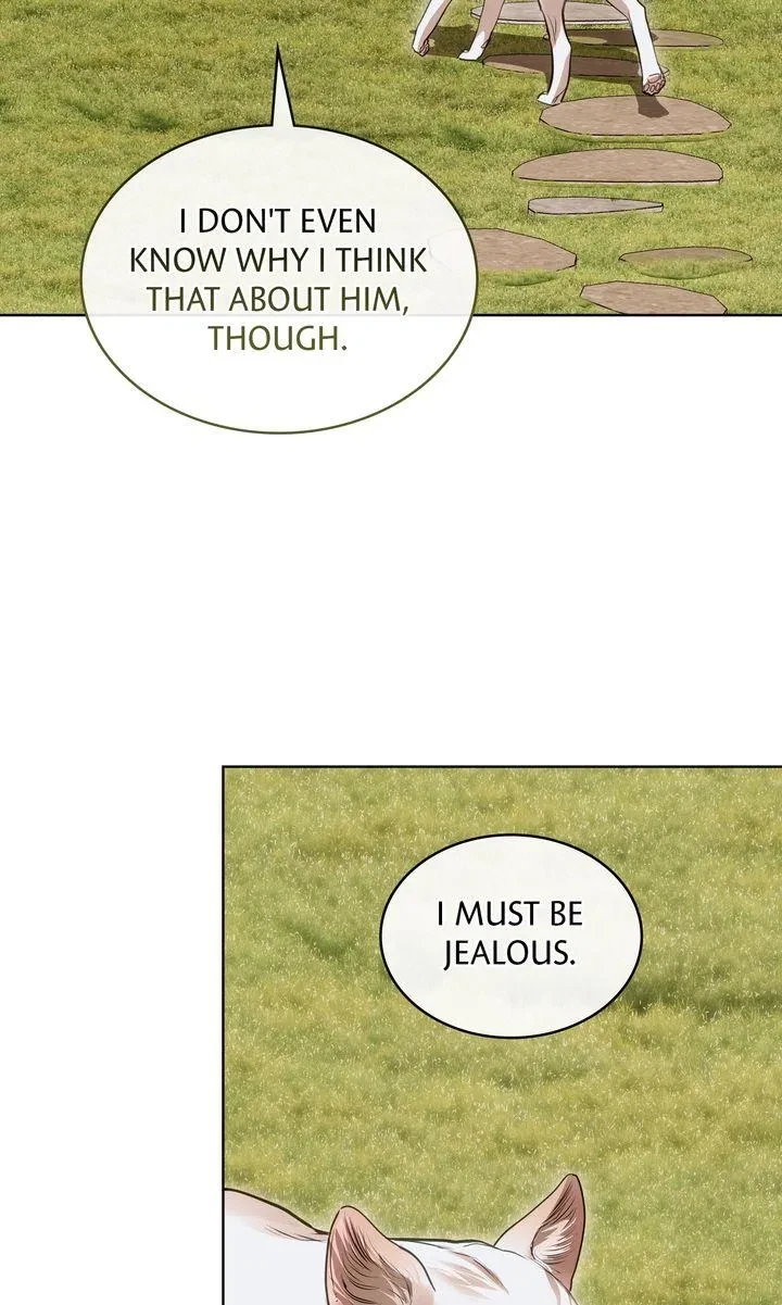 Chapter 51, page 11