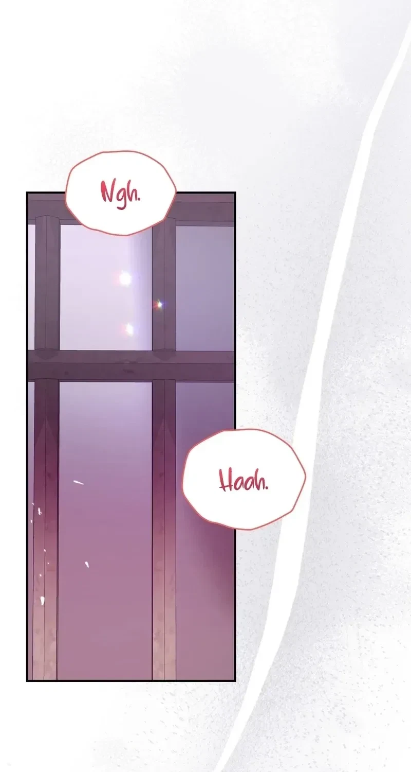 Five Husbands Appeared On My Birthday Chapter 0, page 3