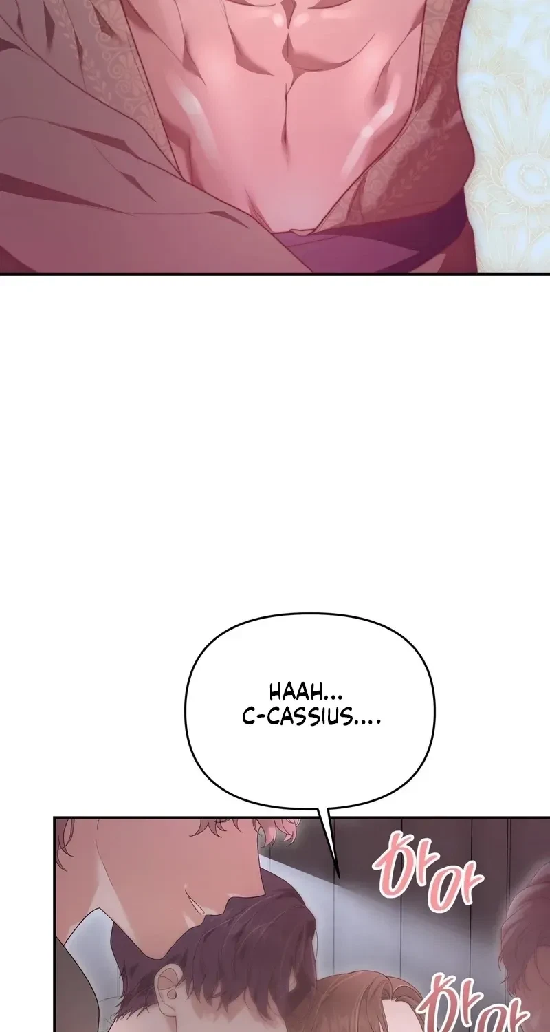 Five Husbands Appeared On My Birthday Chapter 0, page 43