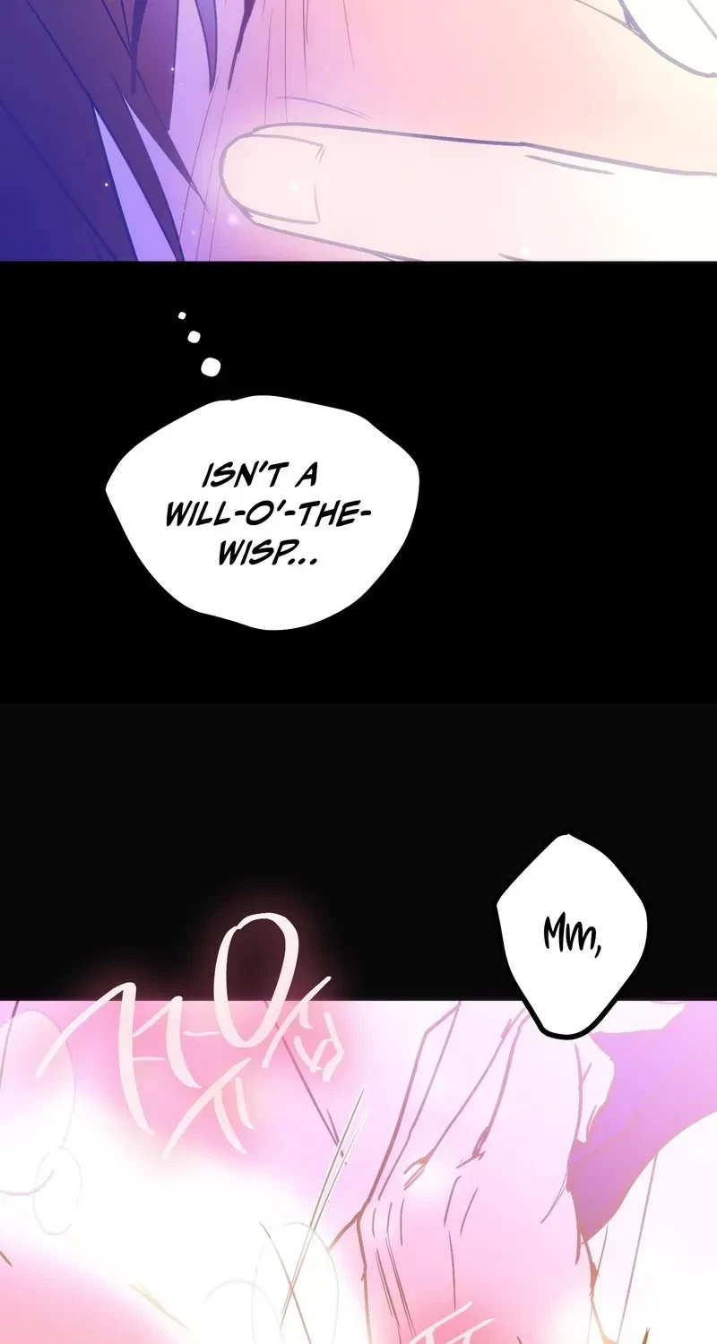 Chapter 2, page 41