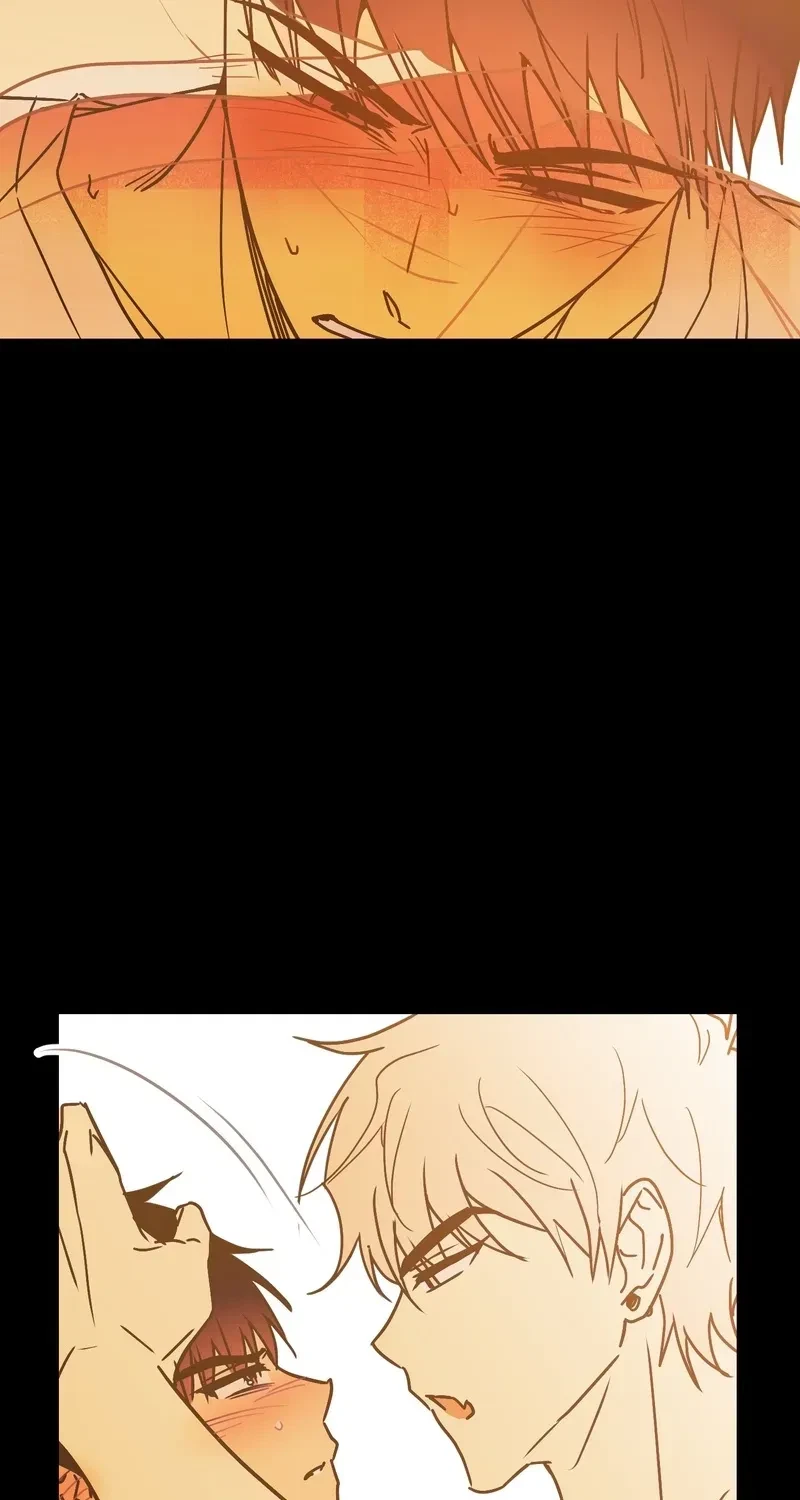 Chapter 2, page 63
