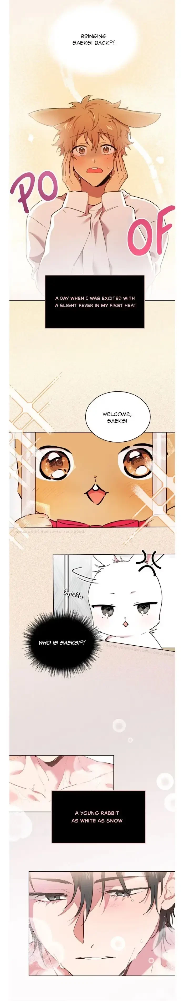 Chapter 0.1, page 4