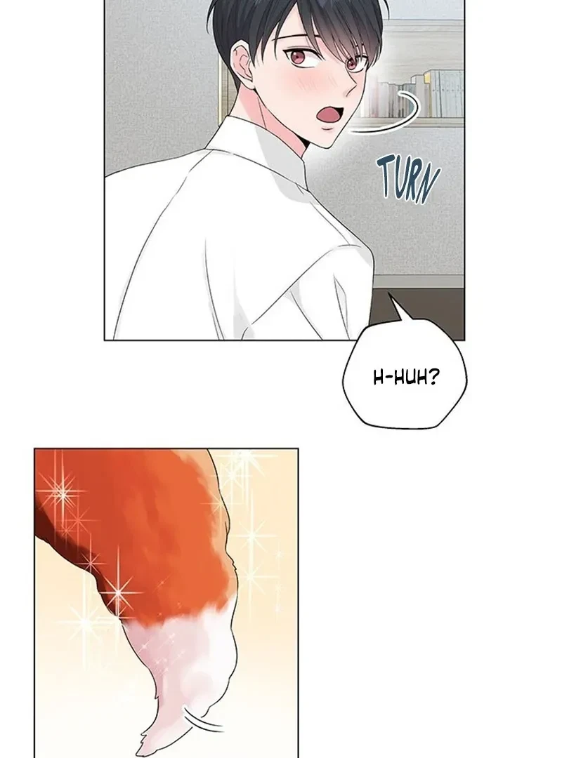 Chapter 0, page 25