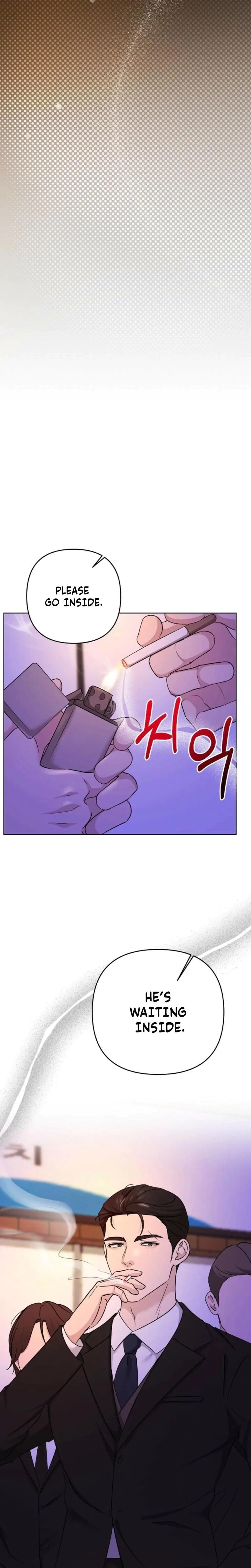 Chapter 2, page 29