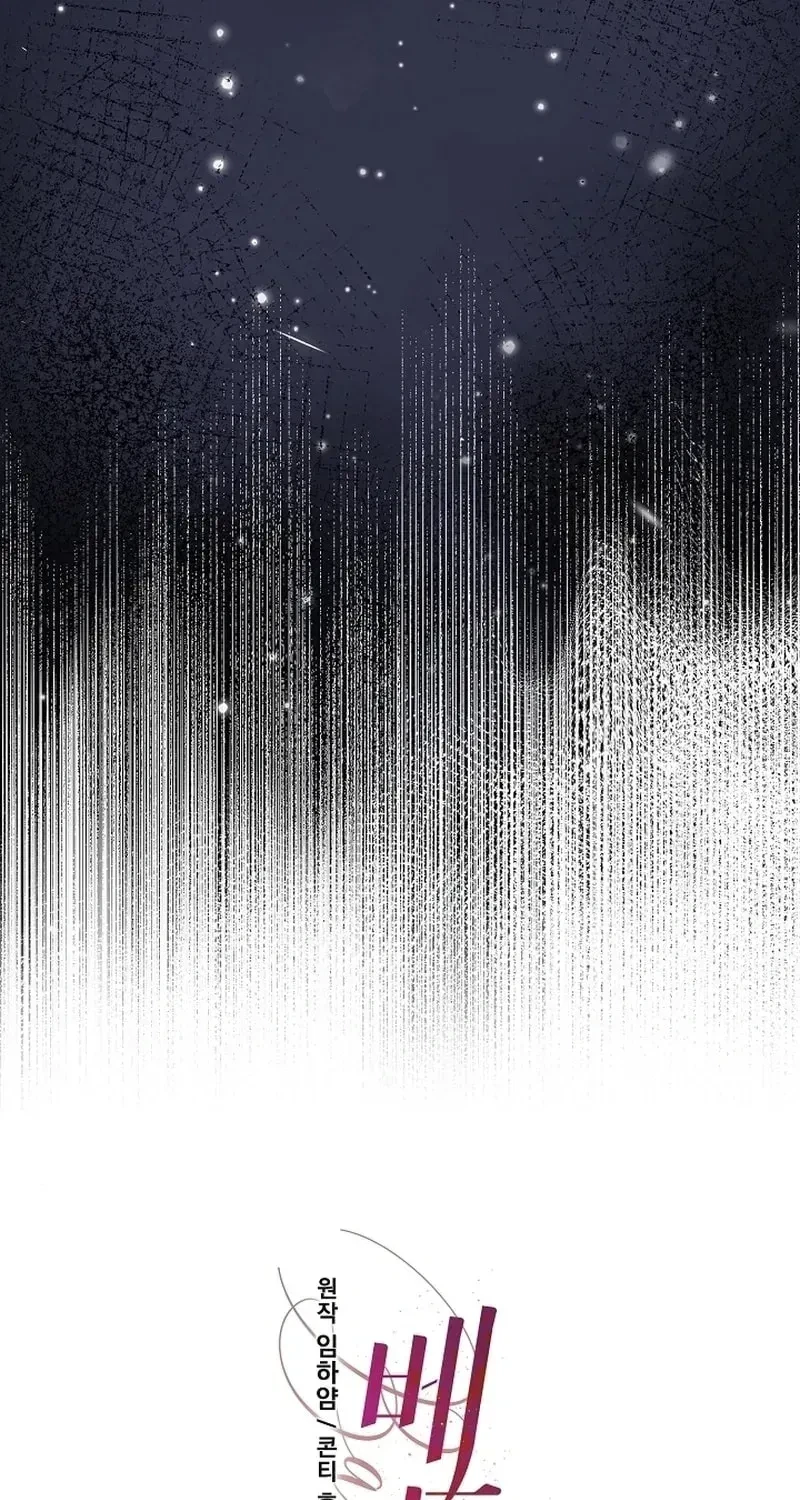 Chapter 3, page 19