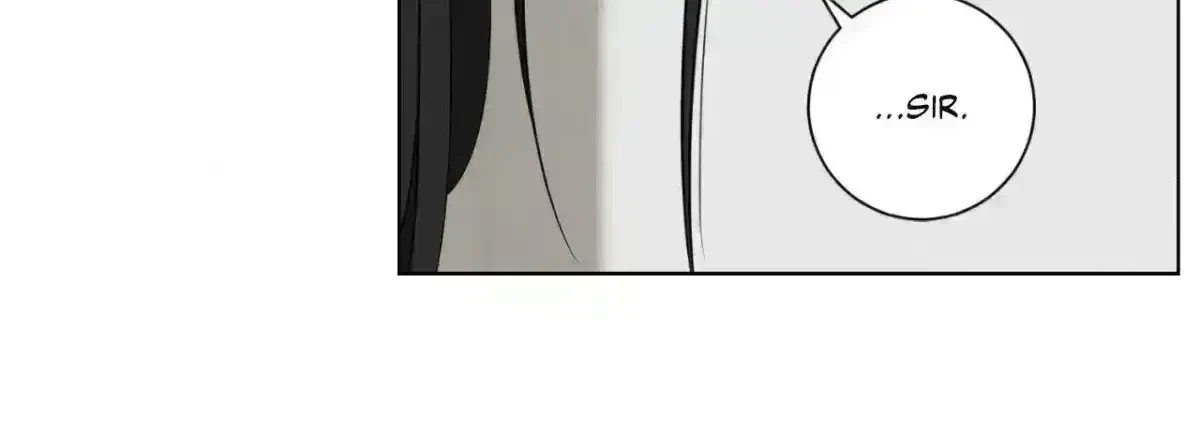 Chapter 4.9, page 114