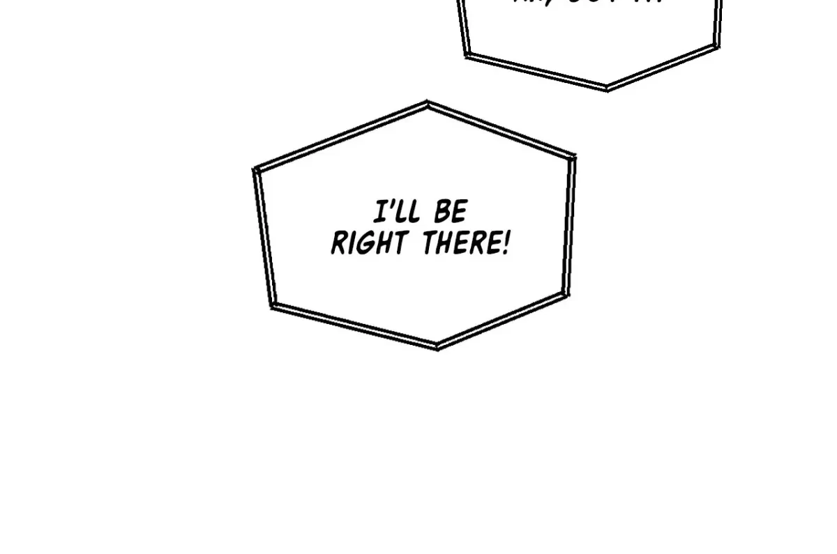 Chapter 2, page 47