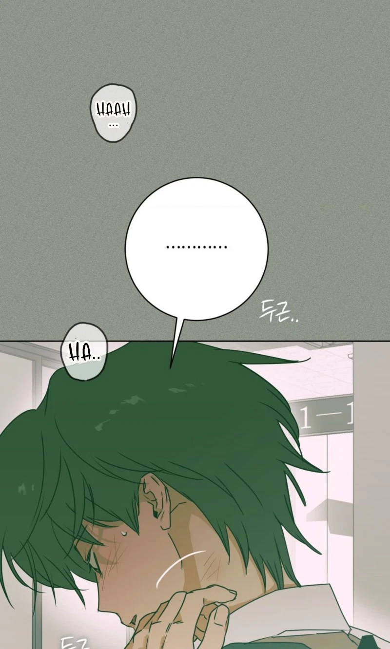 Chapter 33, page 33