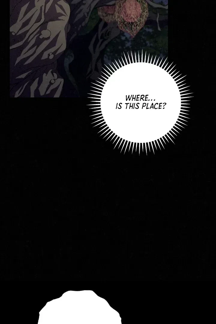 Chapter 1.2, page 31