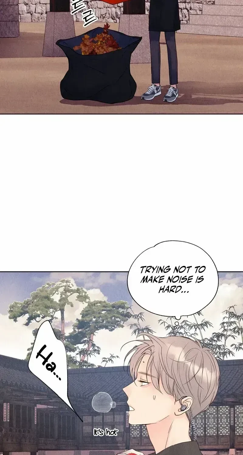 Chapter 4.9, page 80
