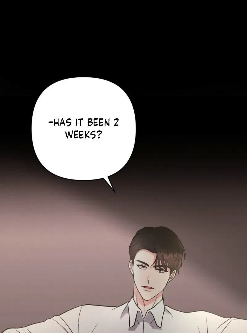 Chapter 4, page 43