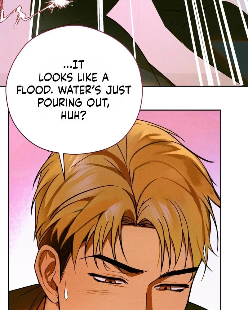 Chapter 2, page 15