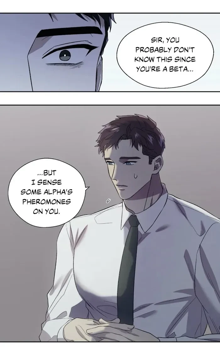 Chapter 3, page 49