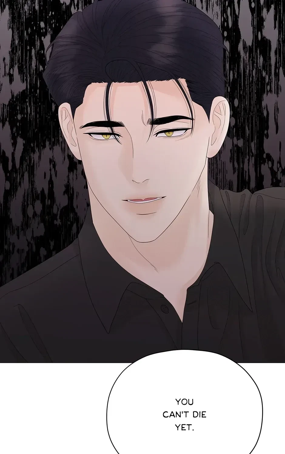 Chapter 8, page 153