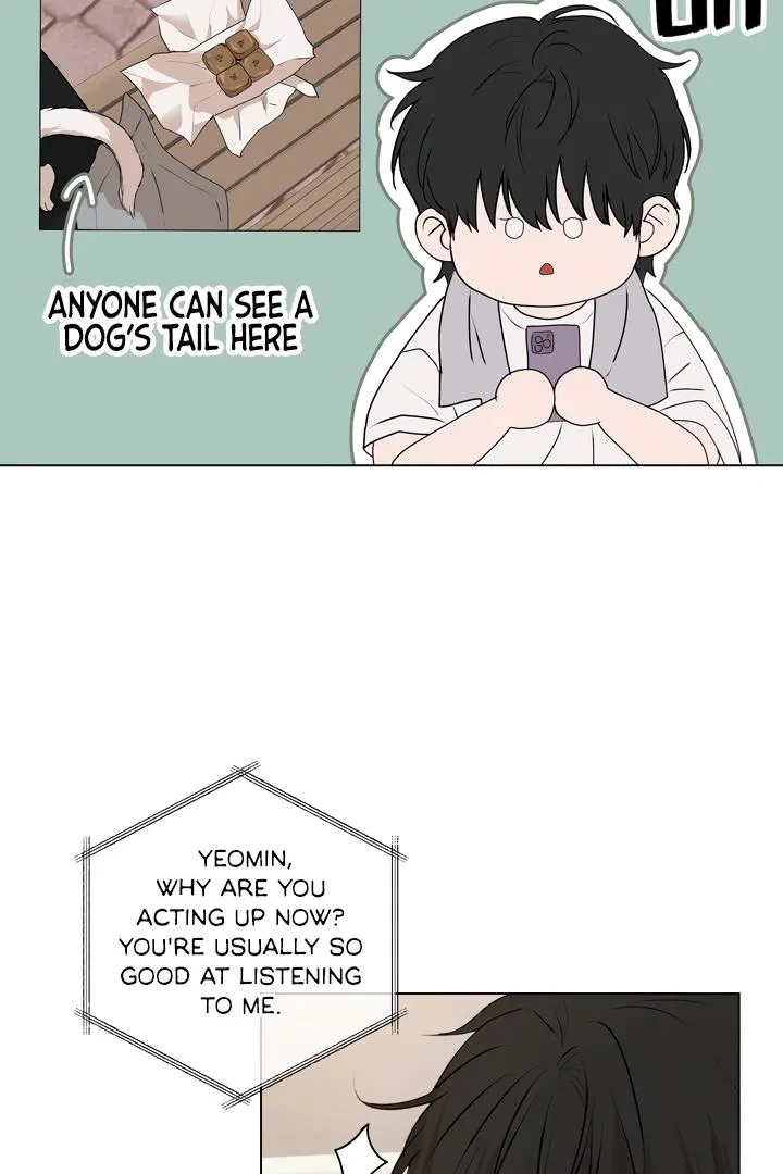 Chapter 8, page 15