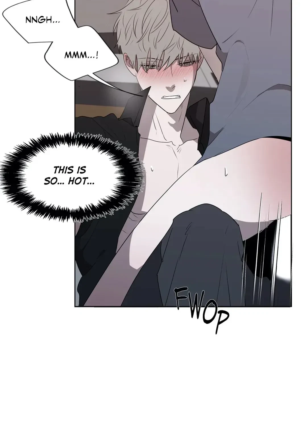 Chapter 2.1, page 17