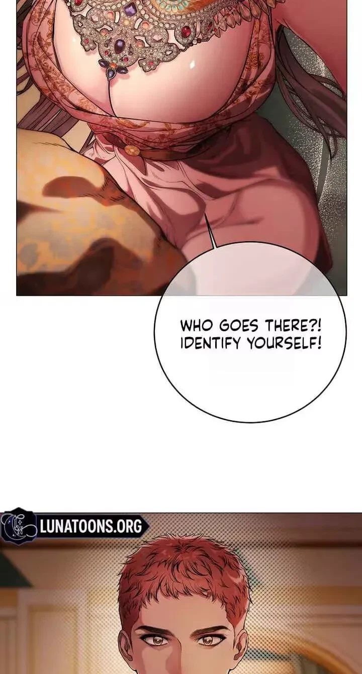 Chapter 3, page 24