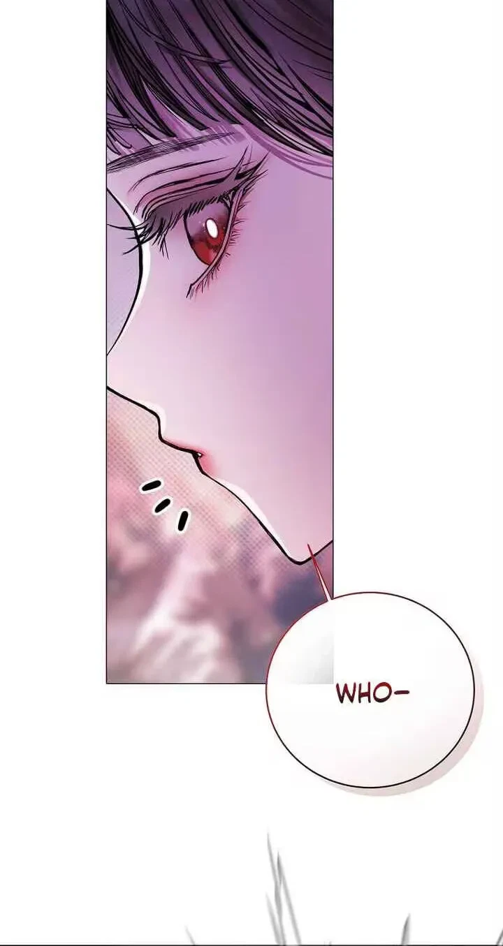 Chapter 3, page 66