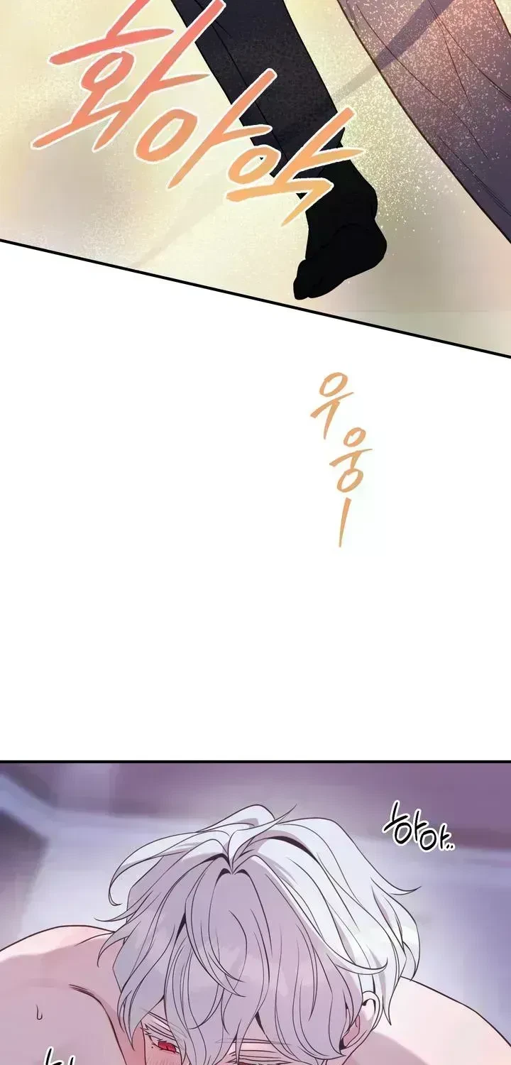 Chapter 2.9, page 42