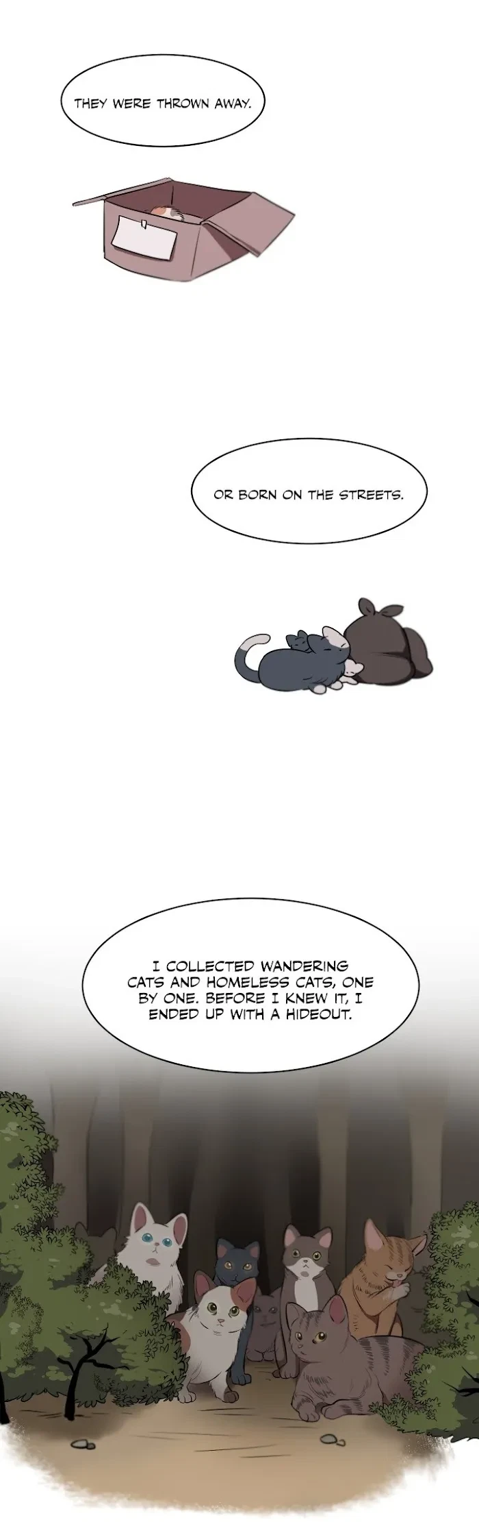 Chapter 1, page 15