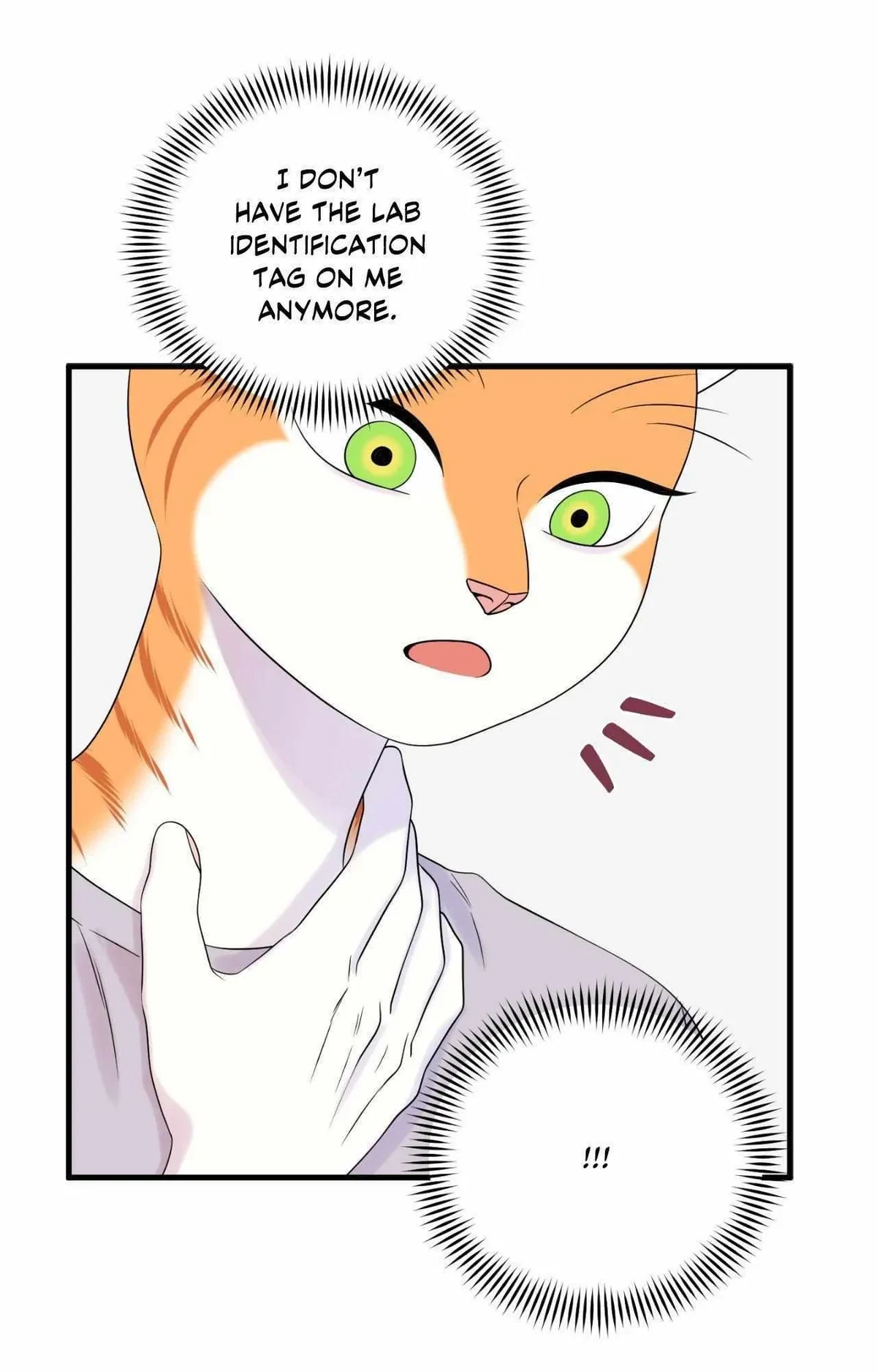 Chapter 84, page 65