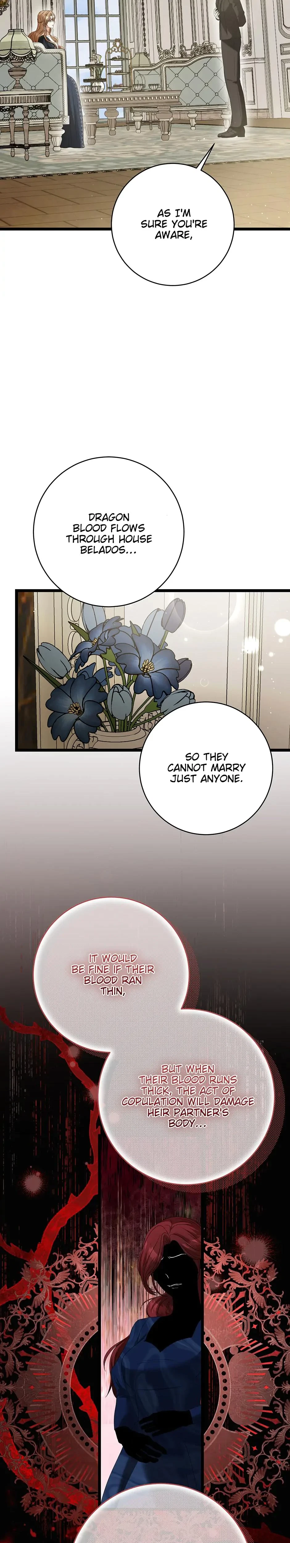 The Wife Of The Dragon Duke Chapter 27, page 3