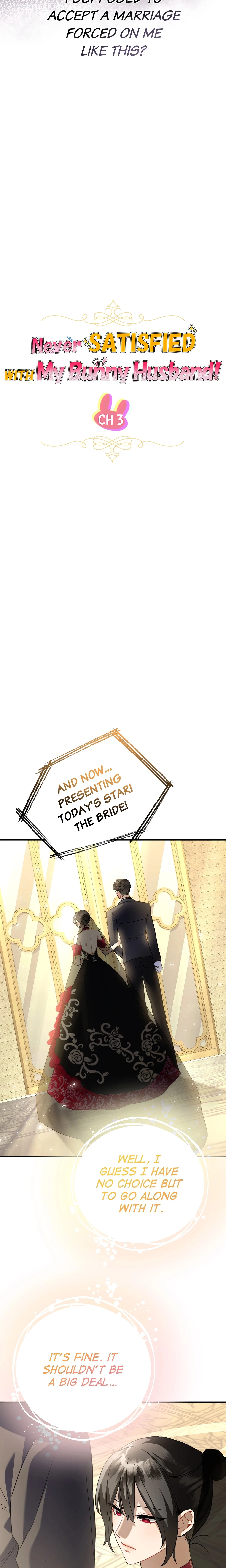 Chapter 3, page 15