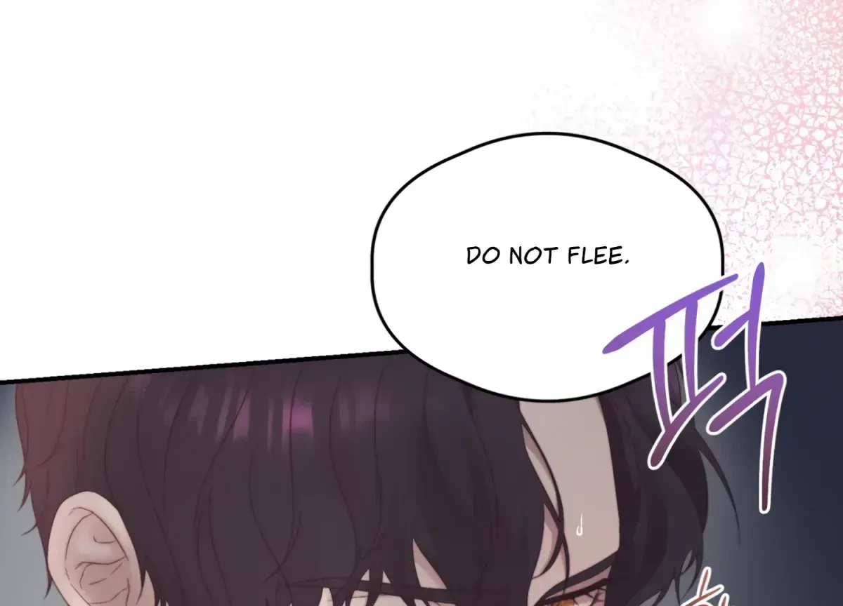 Chapter 1.1, page 106