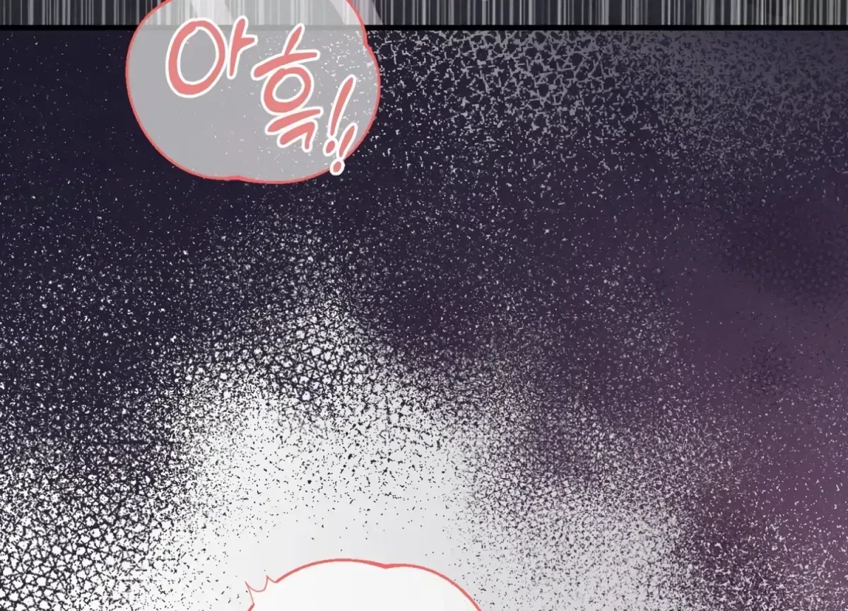 Chapter 1.1, page 13